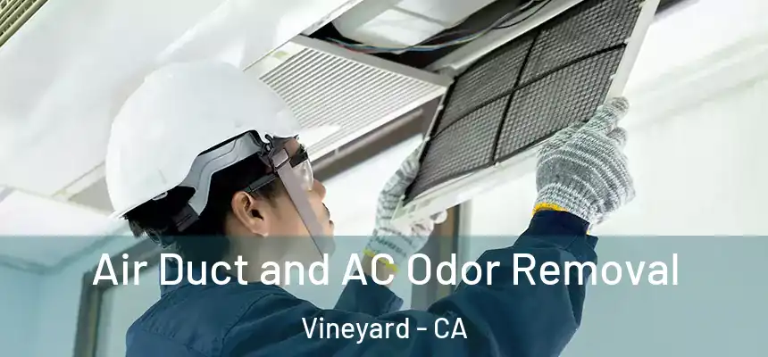 Air Duct and AC Odor Removal Vineyard - CA