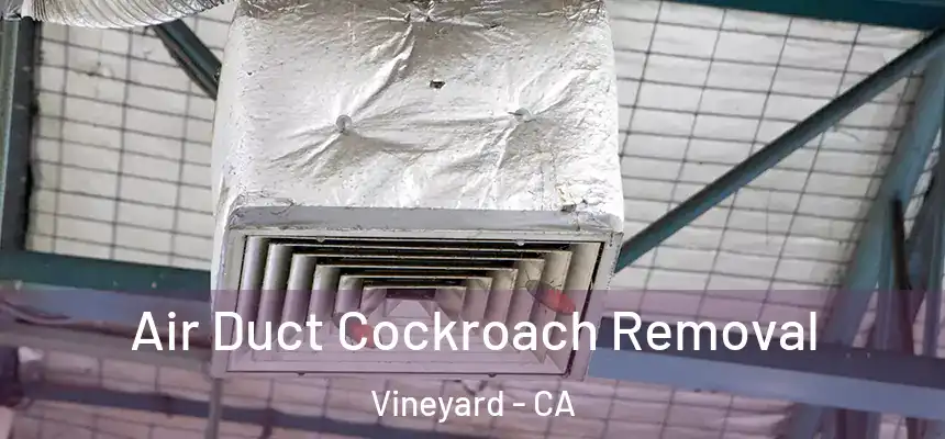  Air Duct Cockroach Removal Vineyard - CA