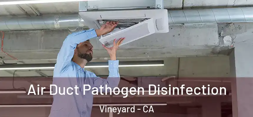 Air Duct Pathogen Disinfection Vineyard - CA