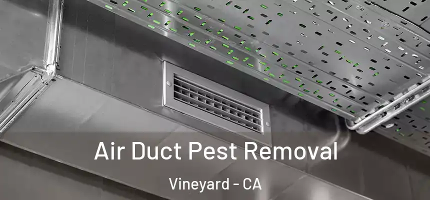  Air Duct Pest Removal Vineyard - CA