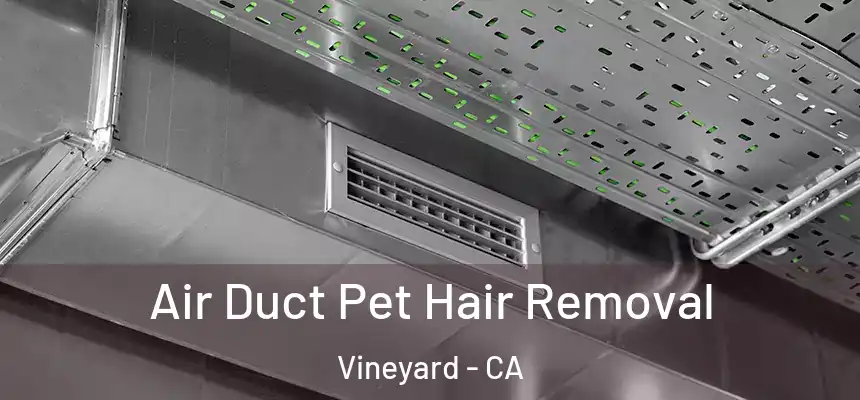  Air Duct Pet Hair Removal Vineyard - CA