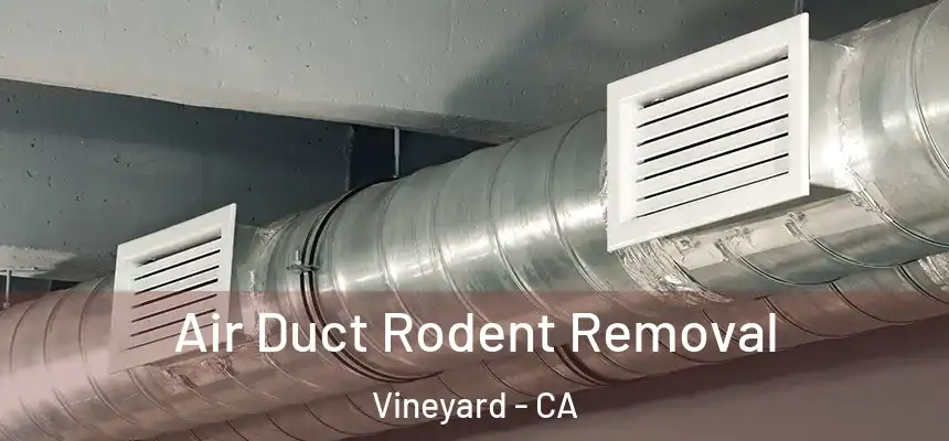 Air Duct Rodent Removal Vineyard - CA