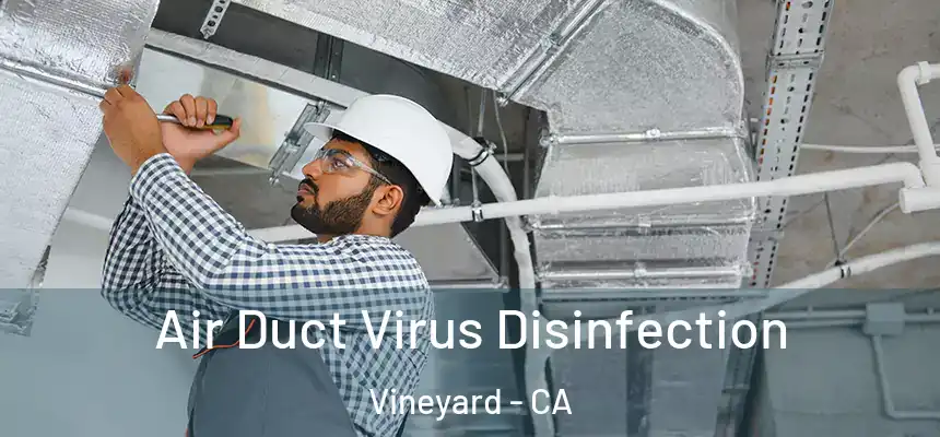  Air Duct Virus Disinfection Vineyard - CA