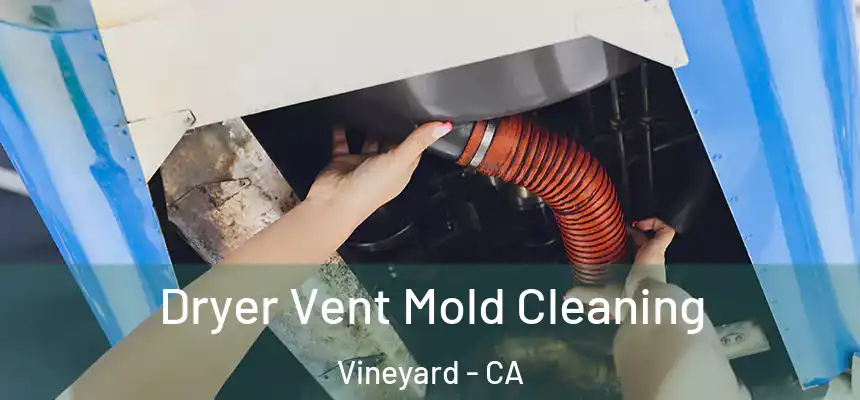  Dryer Vent Mold Cleaning Vineyard - CA