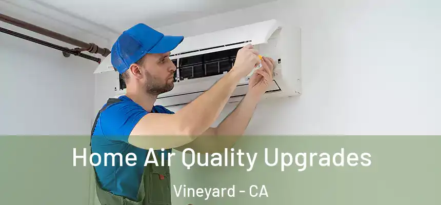  Home Air Quality Upgrades Vineyard - CA