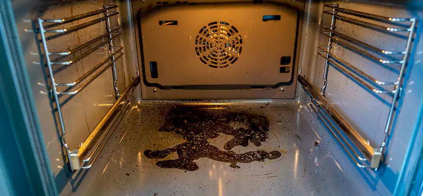 Our Dryer Vent Mold Cleaning Services in Vineyard, CA