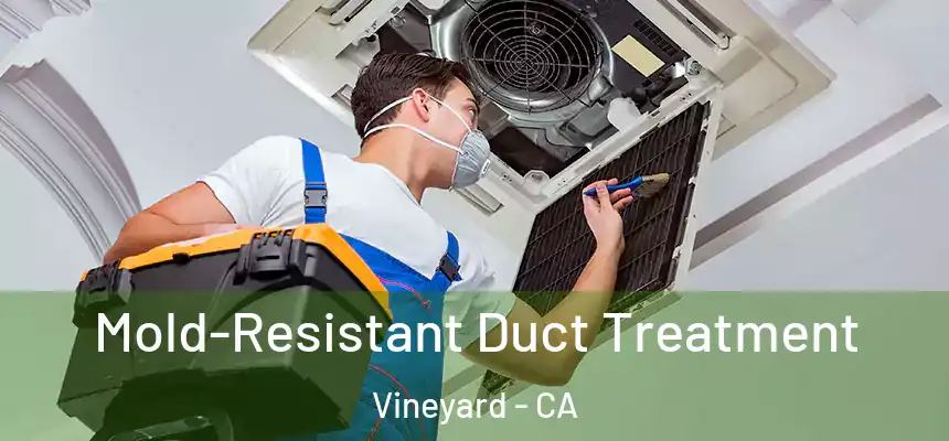  Mold-Resistant Duct Treatment Vineyard - CA