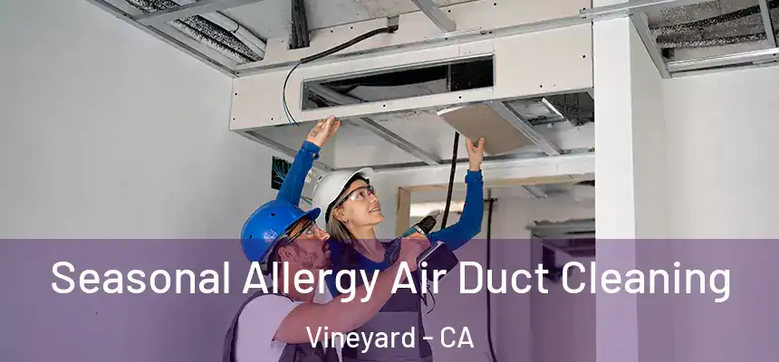  Seasonal Allergy Air Duct Cleaning Vineyard - CA
