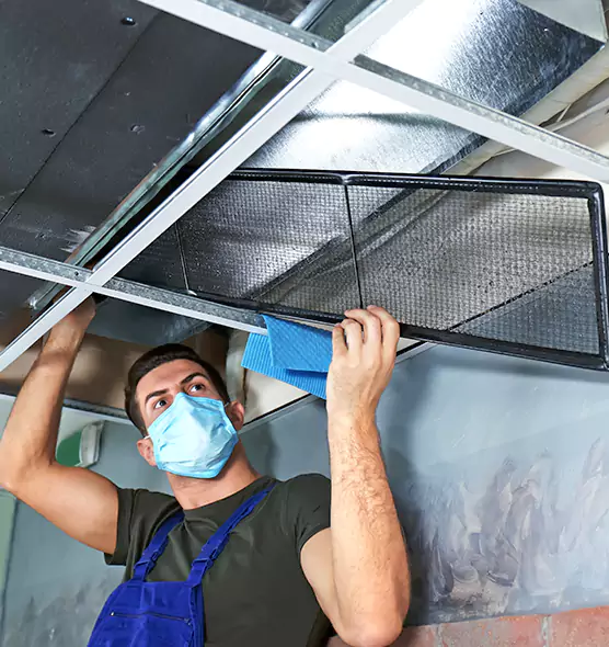Professional Air Duct Pollen Cleaning in Vineyard, CA