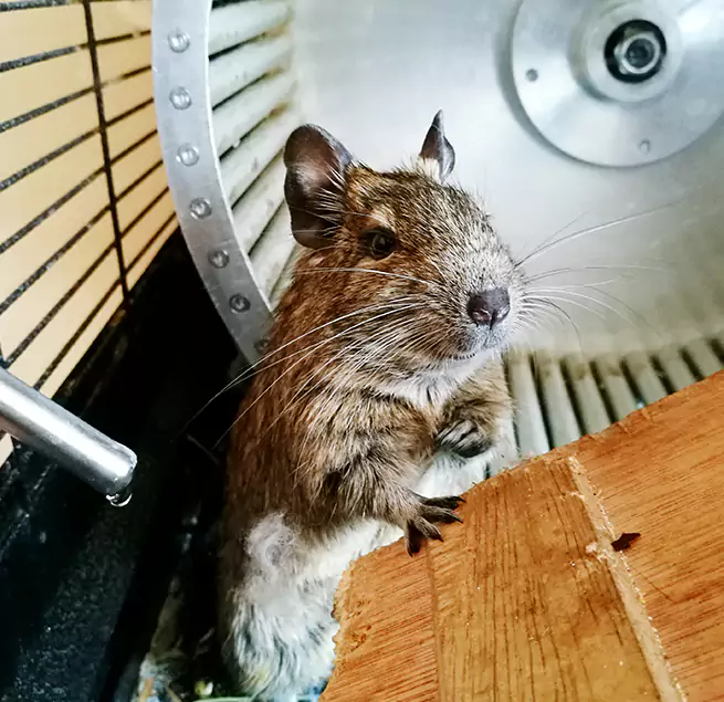 Why Homeowners & Businesses Trust Us Vineyard, CA