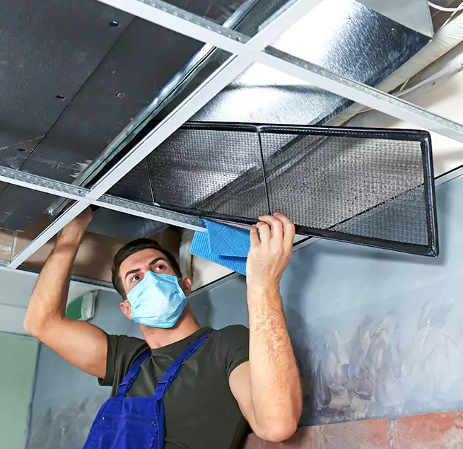 Why Homeowners Businesses Trust Us in Vineyard, CA?