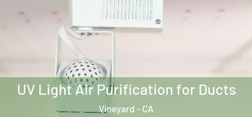  UV Light Air Purification for Ducts Vineyard - CA
